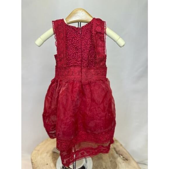Trish Scully Girls Lace Dress - Size 6M-12M - Picture 4 of 9